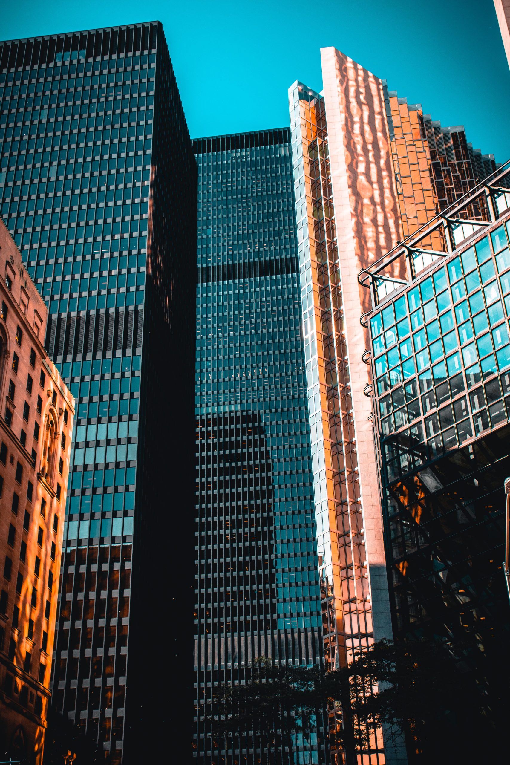 pexels-nesskaf-13651868